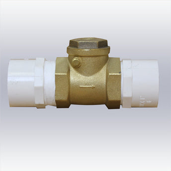 Spa Check Valve 3/4