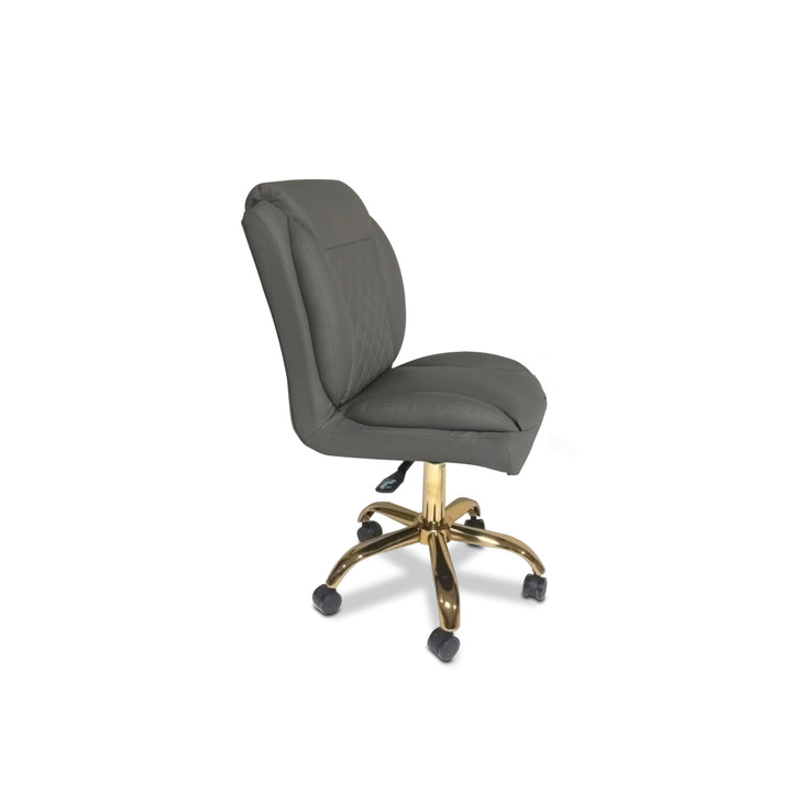 Translation missing: en.Eden Technician Chair