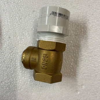 Spa Check Valve